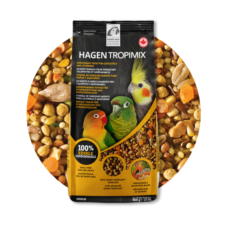 Hagen Tropimix  Premium Enrichment Food for Cockatiels & Lovebirds - Image 4