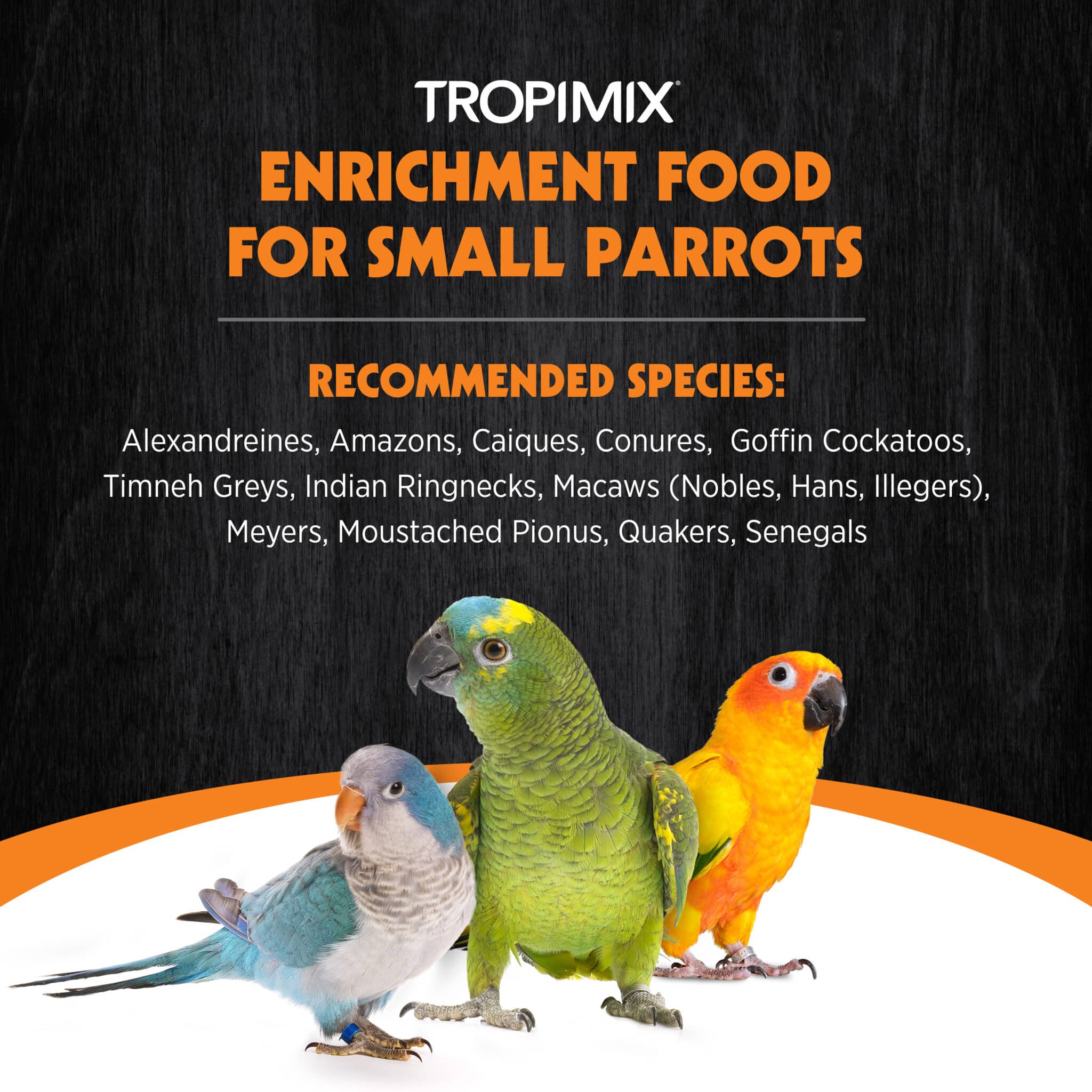 Hagen Tropimix  Premium Enrichment Food for Small Parrots - Image 3