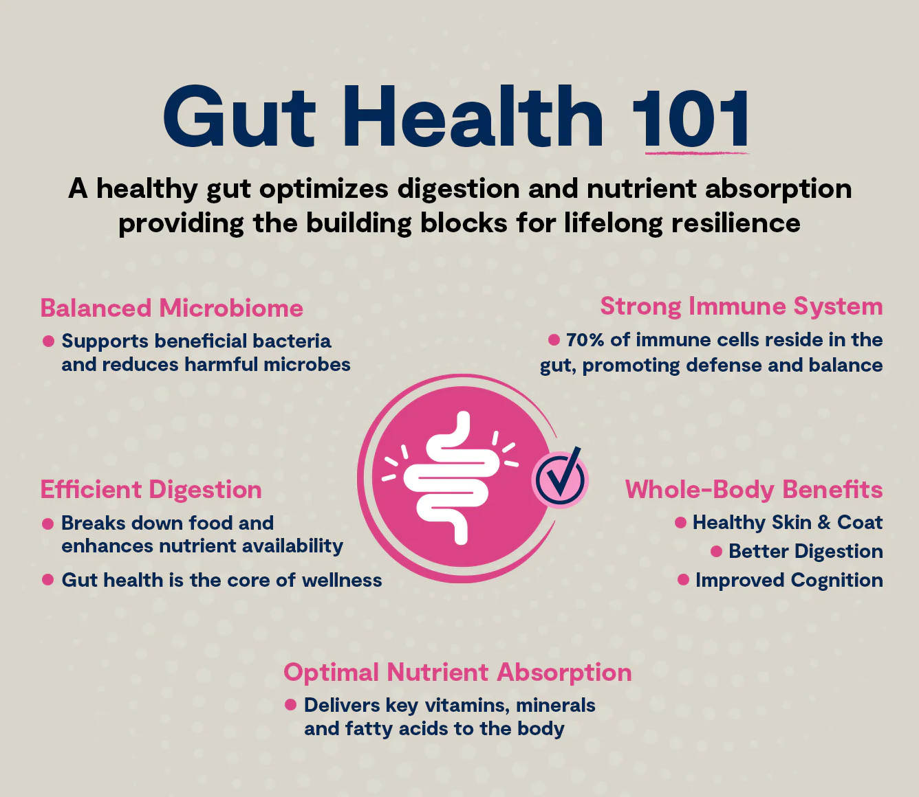 Open Farm GoodGut Wild-Caught Salmon Dog Kibble - Image 3